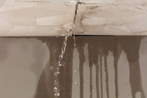 Professional Water Extraction technician working in Warrenton, OR